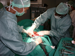 CENTRO STERILITA' MASCHILE AZOOSPERMIA PUGLIA CENTRO STERILITA' MASCHILE AZOOSPERMIA PUGLIA