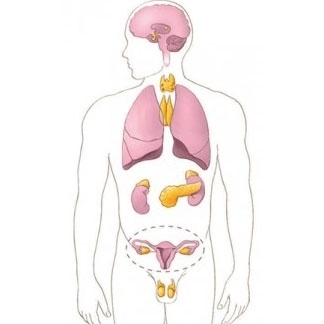 CENTRO SCREENING ENDOCRINOLOGICO PUGLIA